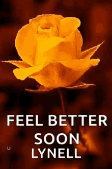 Feel Better Get Well Soon GIF - Feel Better Get Well Soon Flowers GIFs