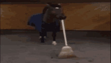 a horse with a broom sticking out its mouth