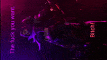 a purple and red background with the words the fuck you want bitch written on it
