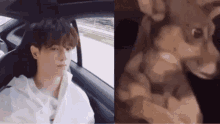 Taeyong Dog Taeyong Looking GIF - Taeyong Dog Taeyong Looking Ltyricist GIFs
