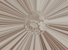 a blurred image of a person 's face with a few lines coming out of it