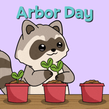 a cartoon of a raccoon planting a plant in a pot