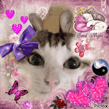 a picture of a cat with the words good night written on the bottom
