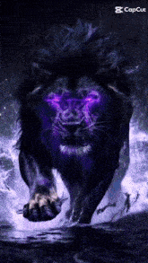 a black lion with purple eyes is running through the water with the caption capcut