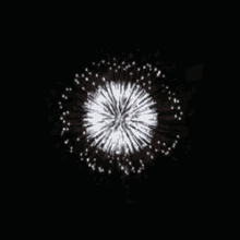 Fireworks Explosion GIF - Fireworks Explosion Show GIFs