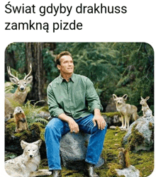 arnold schwarzenegger is sitting on a rock in the middle of a forest