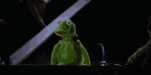 Kermit The Frog Shame GIF - Kermit The Frog Shame Embarrassed GIFs
