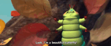 Transformed GIF - Butterfly Abugslife Beautiful GIFs
