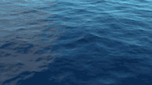 msg aquaticmysterysirens aquatic mystery sirens