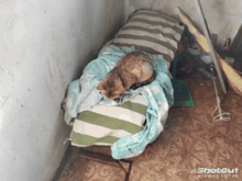 a cat is wrapped in a striped blanket on a bed