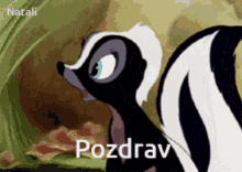 a picture of a skunk with the word pozdrav written on it