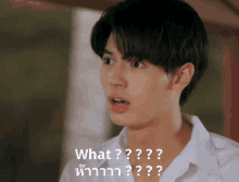 What อะไรนะ GIF - What อะไรนะ ห๊ะ GIFs