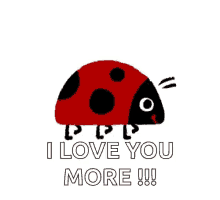 Ladybug Walking GIF - Ladybug Walking I Love You GIFs