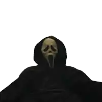a person wearing a scream mask and a black hood