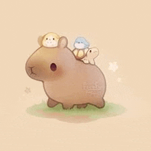 a capybara with a turtle on its back and a bird on its head .