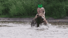 Froggy Friends Forg GIF - Froggy Friends Forg Frog GIFs