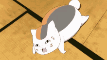 roll cat relax nyanko sensei