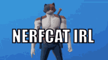 Fortnite Furry GIF - Fortnite Furry Nerfcat GIFs
