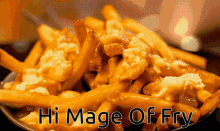 Hi Mage Of Fry GIF - Hi Mage Of Fry GIFs
