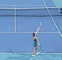 aryna sabalenka serve double fault tennis belarus