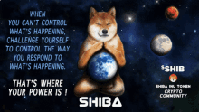 Shib Shiba Inu GIF