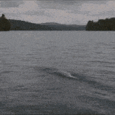 a person is giving the middle finger while swimming in the water .