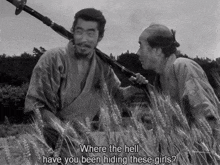 Kikuchiyo Yohei GIF - Kikuchiyo Yohei Seven Samurai GIFs