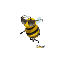 polaroid bee