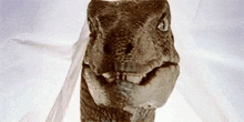 a close up of a dinosaur wearing a white dress .