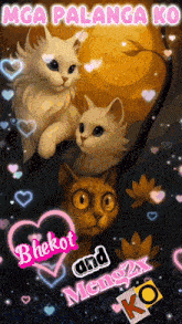 a picture of three cats with the words bhekot and meng2x