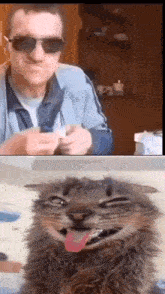 a man wearing sunglasses is sitting next to a cat with its tongue out