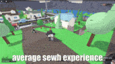 a screenshot of a video game with the words " average sewh experience "