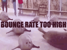 Bounce Rate High GIF