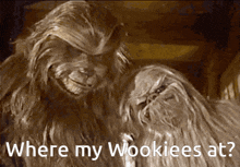 a chewbacca and a wookiee are sitting next to each other