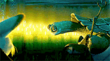 Blow Candles GIF - Blow Candles Oogway GIFs