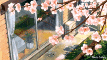 Spring Sakura GIF - Spring Sakura Ashesgif GIFs