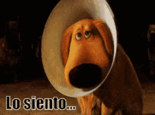Perro Up Lo Siento GIF - Up Dog Sad GIFs