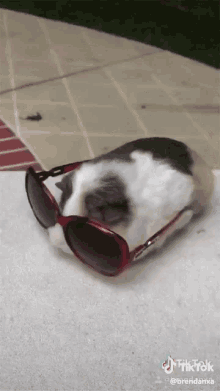 Shades On Relax GIF