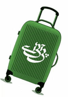 baggage pakistan