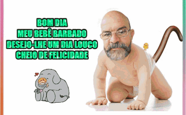Bebe Carlos Bom Dia GIF - Bebe Carlos Bom Dia Baby - Discover & Share GIFs Bebe Carlos Bom Dia GIF - Bebe Carlos Bom Dia Baby - Discover & Share GIFs