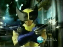 Wolverine Fox Kids GIF - Wolverine Fox Kids Detairo GIFs
