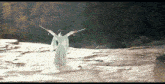 a woman in a white dress is holding two swords in the air .