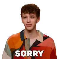 a young man in a colorful shirt says " sorry "