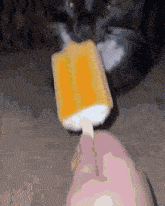 Popsicle Car Popsicle Cat GIF – Popsicle car Popsicle cat Funny cat ...