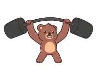 a teddy bear is holding a barbell over its head
