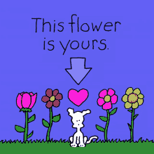 Pandb Dog GIF - Pandb Dog Flowers GIFs