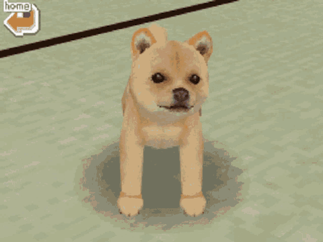 Shiba fashion inu nintendogs