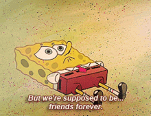 Spongebob But Were Supposed To Be Friends Forever GIF - Spongebob But Were Supposed To Be Friends Forever We Are Supposed To Be Friends GIFs