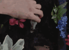 a close up of a person 's hand touching flowers and leaves