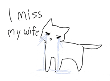 a drawing of a cat crying with the words `` i miss my wife '' .